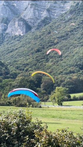 Parapente Coupe Icare 2024